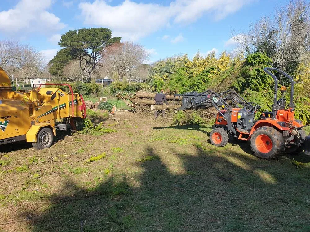 dessouchage arbre vendee