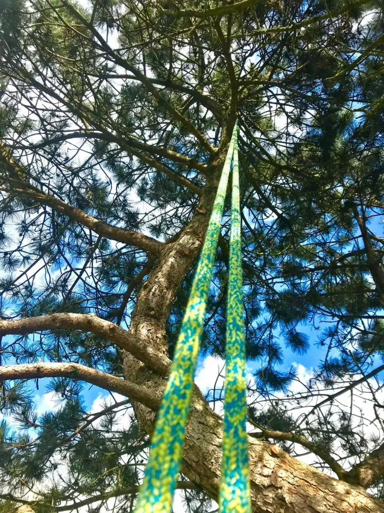 Élagage à La Forêt-Fouesnant