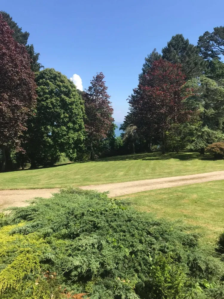 contrat entretien annuel jardin